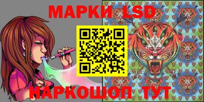 Альфа ПВП Обь