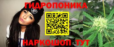 МДПВ Обнинск