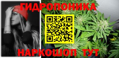Альфа ПВП Обь