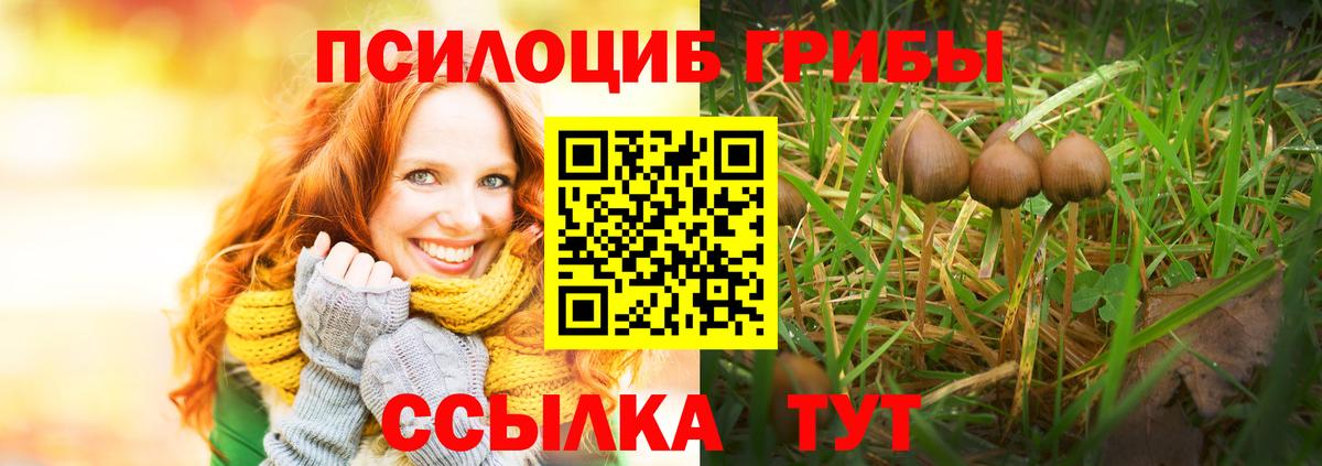 даркнет сайт  Вход с VPN  Псилоцибиновые грибы мухоморы  Партизанск  Псилоцибиновые грибы Magic Shrooms 
