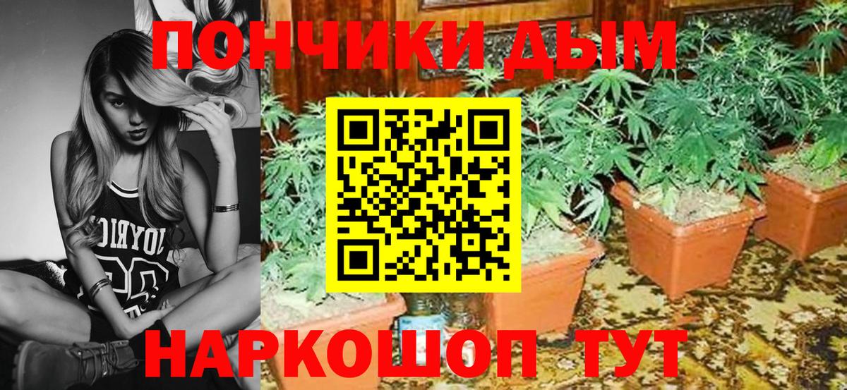 Конопля сатива  Конопля VHQ  Партизанск  Конопля LSD WEED  Вход с VPN 